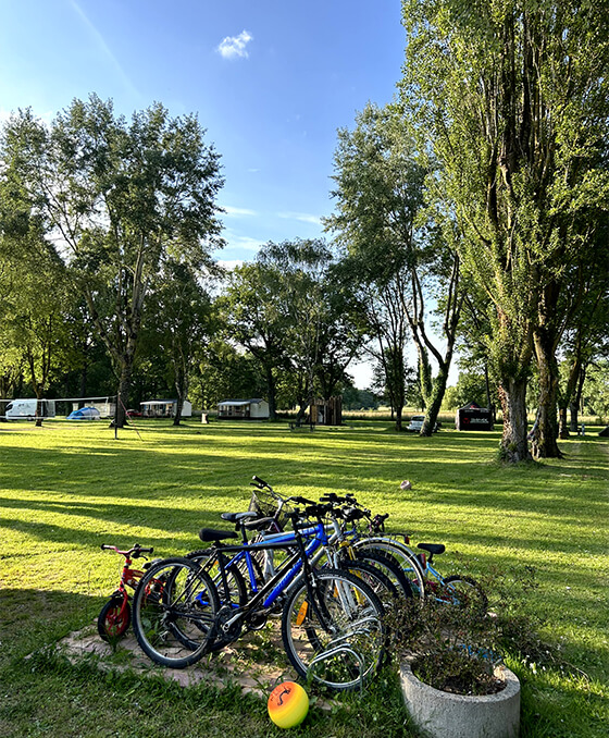 Camping dans le Maine-et-Loire de la Grande Pâture : un écrin de verdure aux portes de l’Anjou et de la Touraine