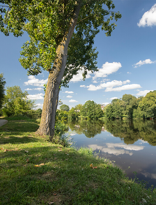 La Loire